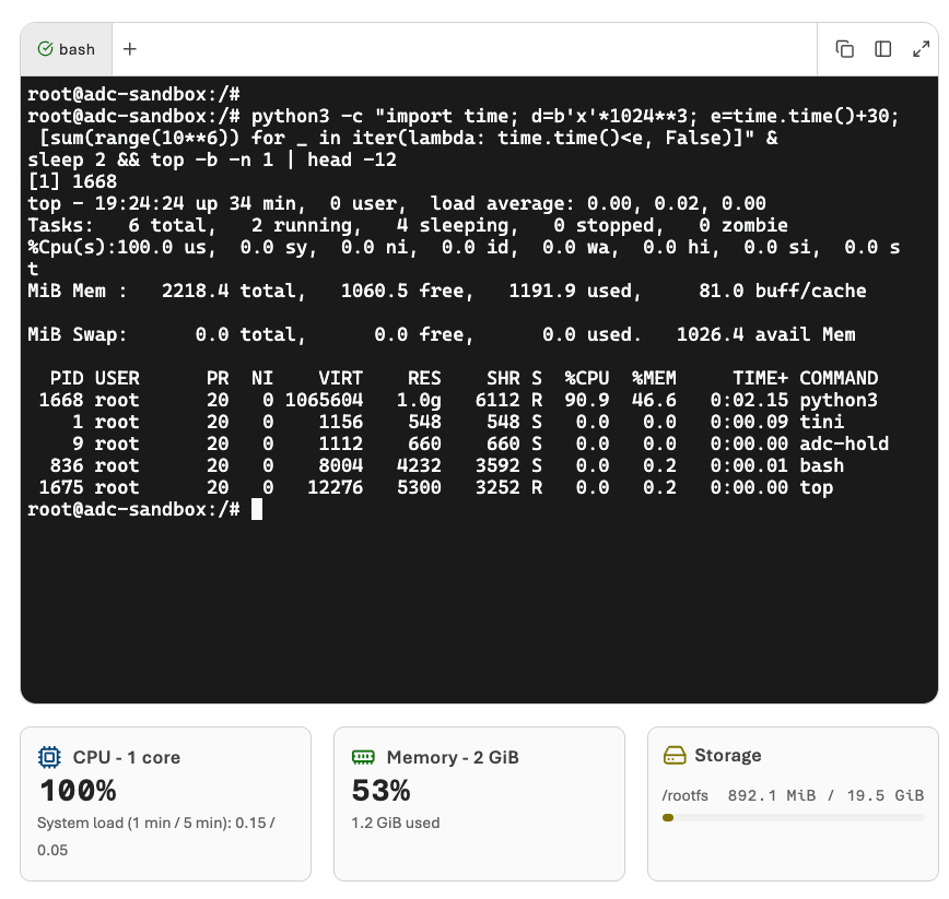 The sandbox's browser terminal running a Python process that holds 1 GiB of memory, with top showing it at about 91% CPU and 1.0 GiB resident. Below, the portal's gauges read CPU 1 core at 100%, memory 2 GiB at 53% (1.2 GiB used), and storage 892 MiB of 19.5 GiB.