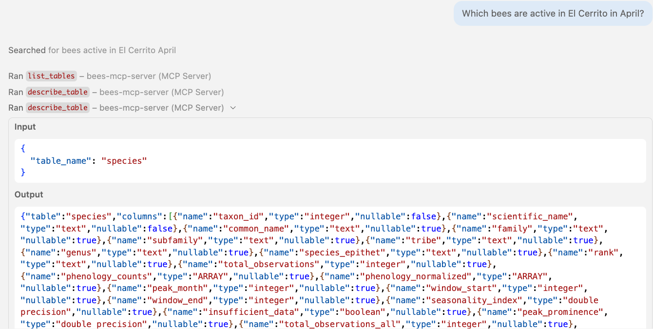 The describe_table tool returns columns for the species table