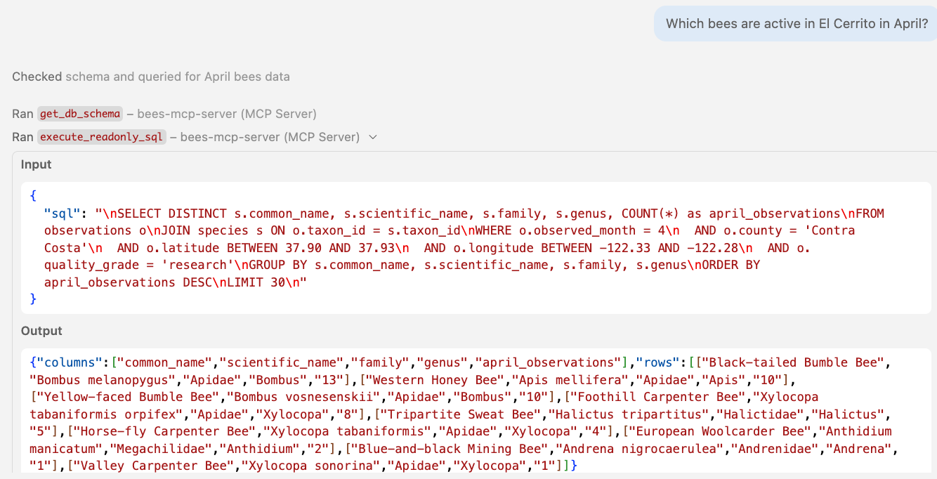 The read-only tool successfully executes a SELECT query