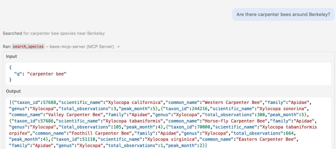 The search_species tool returns structured results for carpenter bees