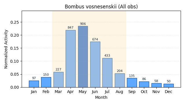 Phenology chart of yellow-faced bumble bee observations over time